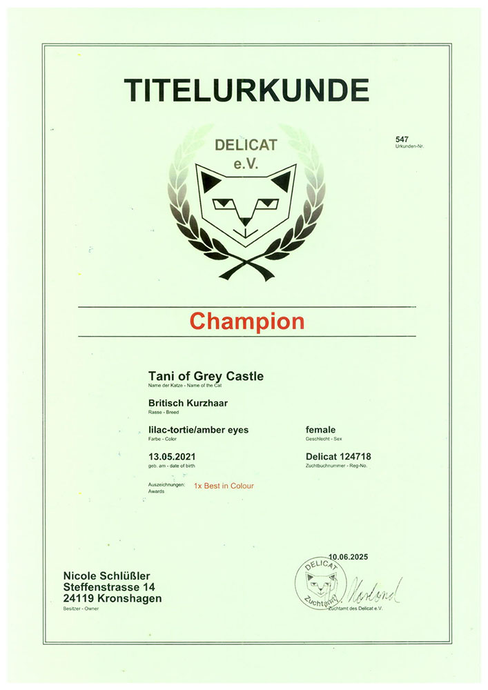 Titel Urkunde für ChampionTani of Grey Castle Titel Urkunde für ChampionTani of Grey Castle