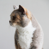 elly-14-07-24_1000_1000_1