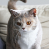 elly-14-07-24_1000_1000_2