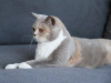 elly-28-12-25_1000_750_1