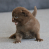 bailey-21-06-26_1000_1000_6